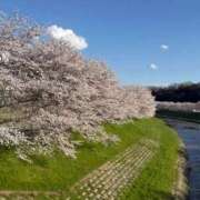 ヒメ日記 2026/04/06 00:49 投稿 柳　かえで OLピンクコレクション