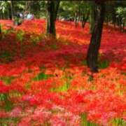 ヒメ日記 2025/09/23 23:28 投稿 南　乃々華 タッチVIP