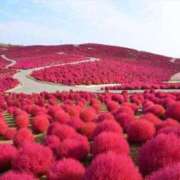 ヒメ日記 2025/09/29 04:30 投稿 南　乃々華 タッチVIP