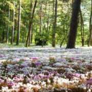 ヒメ日記 2025/10/05 15:18 投稿 南　乃々華 タッチVIP