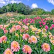 ヒメ日記 2025/10/10 01:06 投稿 南　乃々華 タッチVIP