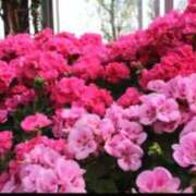 ヒメ日記 2025/10/19 14:06 投稿 南　乃々華 タッチVIP