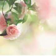 南　乃々華 こんにちは☀️ タッチVIP