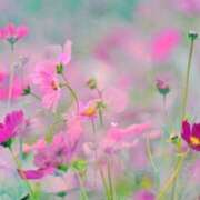 南　乃々華 こんにちは☀️ タッチVIP