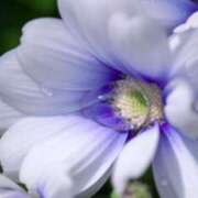 ヒメ日記 2025/12/08 15:03 投稿 南　乃々華 タッチVIP