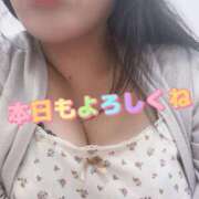 ヒメ日記 2025/08/30 11:00 投稿 東野(ひがしの) 八王子人妻城