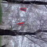 ヒメ日記 2026/04/11 00:26 投稿 しのん 99 Memories(ナインティナインメモリーズ)