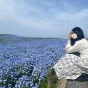 ヒメ日記 2026/04/14 20:15 投稿 しのん 99 Memories(ナインティナインメモリーズ)