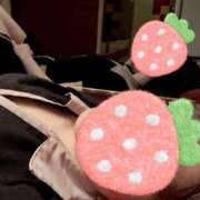 ヒメ日記 2026/01/25 07:12 投稿 遠矢もも シロガネーゼ