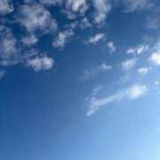 ヒメ日記 2026/04/24 06:48 投稿 遠矢もも シロガネーゼ