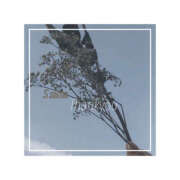 ヒメ日記 2025/08/04 19:16 投稿 かれん ぼくらのデリヘルランドin久喜店