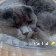 ヒメ日記 2025/08/13 12:26 投稿 かれん ぼくらのデリヘルランドin久喜店