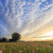 ヒメ日記 2025/11/08 08:36 投稿 かれん ぼくらのデリヘルランドin久喜店