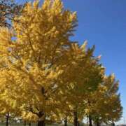 ヒメ日記 2025/11/23 10:06 投稿 かれん ぼくらのデリヘルランドin久喜店