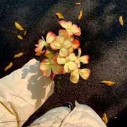 かれん 事前予約お礼💌 ぼくらのデリヘルランドin久喜店