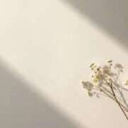 かれん ごめんなさい ぼくらのデリヘルランドin久喜店