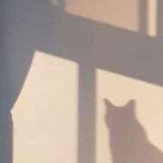 かれん お詫びとお知らせ ぼくらのデリヘルランドin春日部・久喜店