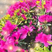 ヒメ日記 2026/04/18 16:03 投稿 和花(わか) 角海老宮殿