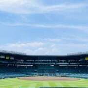 かこ 夏⚾ 錦糸町人妻花壇