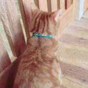 ヒメ日記 2025/08/28 14:54 投稿 ふぶき スピードエコ難波店