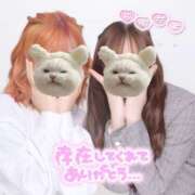 ヒメ日記 2025/08/15 00:19 投稿 松井　める つくば風俗エキスプレス   ヌキ坂46