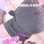 ヒメ日記 2025/11/11 12:04 投稿 ほのか 乳野家