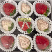 あかね 今月もよろしくお願いします🎀 プレイガール(亀有)