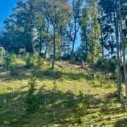 ヒメ日記 2025/07/10 08:36 投稿 東雲こはく ミセス大阪十三店