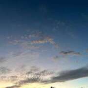 ヒメ日記 2025/07/21 21:13 投稿 東雲こはく ミセス大阪十三店