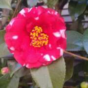 ヒメ日記 2026/03/09 22:17 投稿 香（かおる） 不倫快感