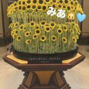 ヒメ日記 2025/07/27 14:42 投稿 みあ WOWOW UENO HEALTH STATION