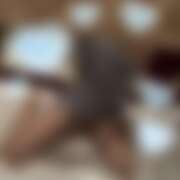 ヒメ日記 2026/04/12 17:16 投稿 みあ WOWOW UENO HEALTH STATION