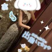 ヒメ日記 2026/04/14 11:39 投稿 みあ WOWOW UENO HEALTH STATION