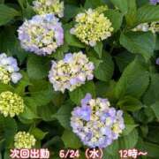 ヒメ日記 2026/06/22 21:00 投稿 ありさ モアグループ川越人妻花壇