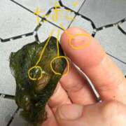 ヒメ日記 2025/07/02 21:00 投稿 みつる 性腺熟女100％（デリヘル市場）