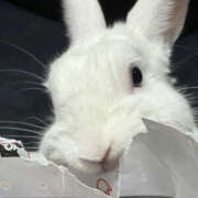 ヒメ日記 2025/07/06 21:00 投稿 みつる 性腺熟女100％（デリヘル市場）