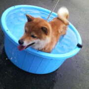 ヒメ日記 2025/07/22 21:00 投稿 みつる 性腺熟女100％（デリヘル市場）