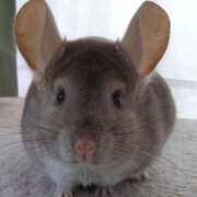 ヒメ日記 2025/08/15 21:00 投稿 みつる 性腺熟女100％（デリヘル市場）