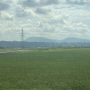 ヒメ日記 2025/08/24 19:00 投稿 みつる 性腺熟女100％（デリヘル市場）