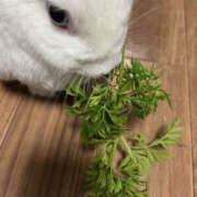 ヒメ日記 2025/09/01 21:00 投稿 みつる 性腺熟女100％（デリヘル市場）