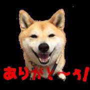 ヒメ日記 2025/09/11 22:50 投稿 みつる 性腺熟女100％（デリヘル市場）