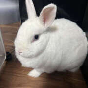 ヒメ日記 2025/11/12 19:00 投稿 みつる 性腺熟女100％（デリヘル市場）