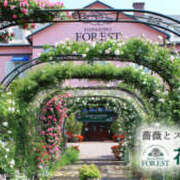 ヒメ日記 2025/11/17 21:30 投稿 みつる 性腺熟女100％（デリヘル市場）