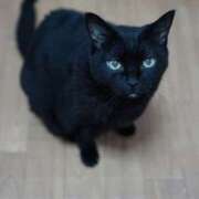 ヒメ日記 2025/12/22 19:00 投稿 みつる 性腺熟女100％本店（デリヘル市場）