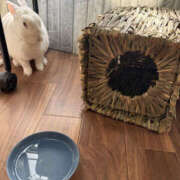 ヒメ日記 2026/01/23 23:00 投稿 みつる 性腺熟女100％本店（デリヘル市場）