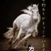 ヒメ日記 2026/02/08 21:00 投稿 みつる 性腺熟女100％本店（デリヘル市場）