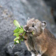 みつる 本日のお礼です。 性腺熟女100％（デリヘル市場）