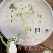 ヒメ日記 2026/06/02 08:30 投稿 みつる 性腺熟女100％本店（デリヘル市場）