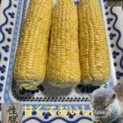 ヒメ日記 2026/08/12 19:45 投稿 みつる 性腺熟女100％本店（デリヘル市場）