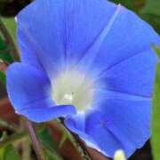 ヒメ日記 2025/06/24 19:32 投稿 志穂 出会い系人妻ネットワーク 新宿〜池袋編